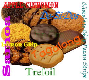 girl-scout-cookies.jpg