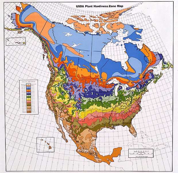 USA plant hardiness map