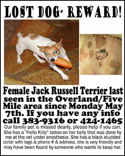 tattooing their dog with Hello Kitty there has been a boundary that has tattooing their dog with Hello Kitty there has been a boundary that has
