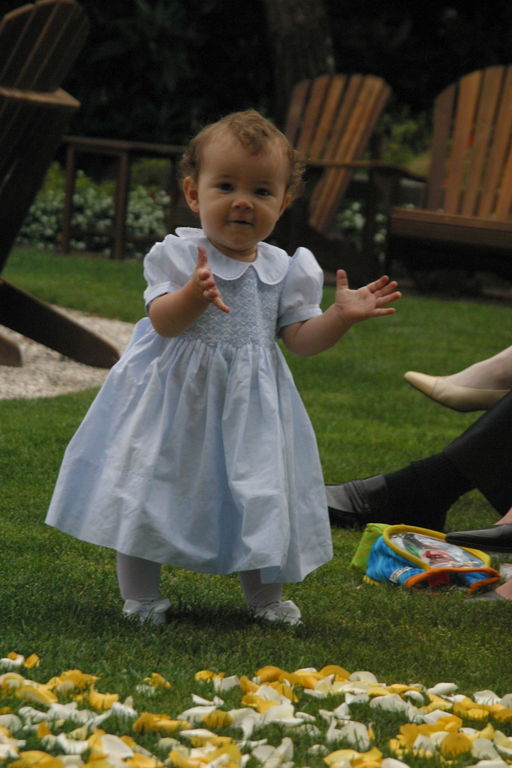 margot at the wedding