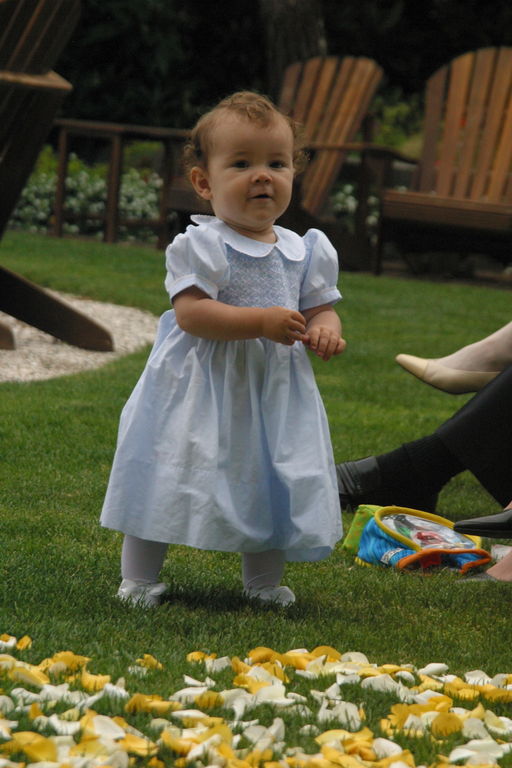 margot at the wedding