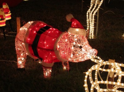 Christmas pig Christmas pig