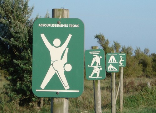 exercise exercise