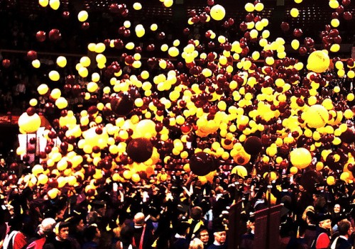 graduation balloons graduation celebration with balloons