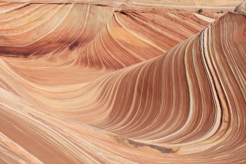 the wave The wave