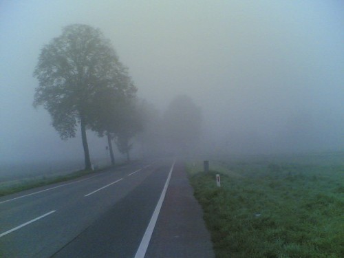 foggy foggy