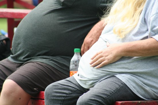 Americans are fat because of cheap food