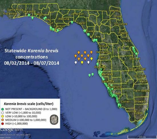 Florida warns of poisonous red tide algae bloom off its coast