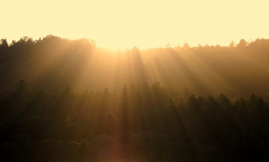 Sunny weather could be associated with suicide rates