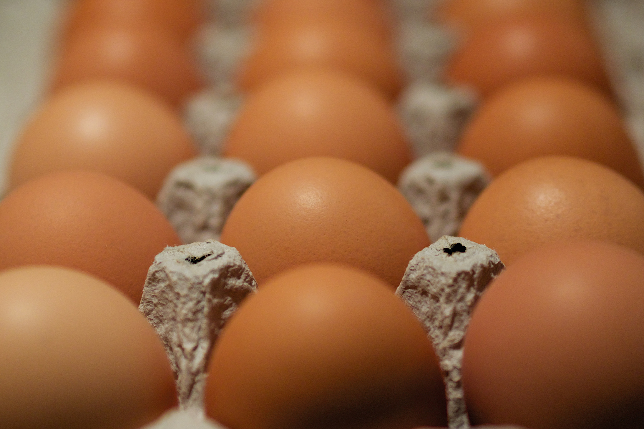 Bird Flu Outbreak Causing Egg Shortage and Rising Prices SavingAdvice