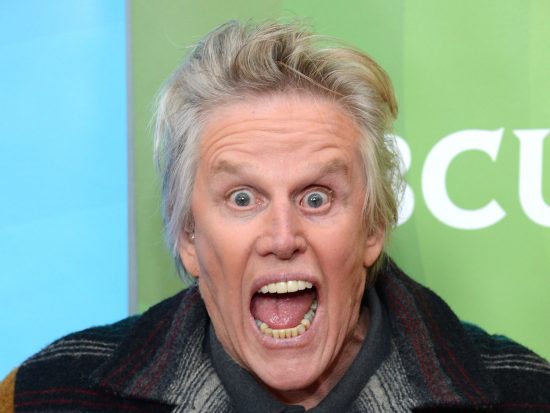 Celebrity Net Worth Gary Busey