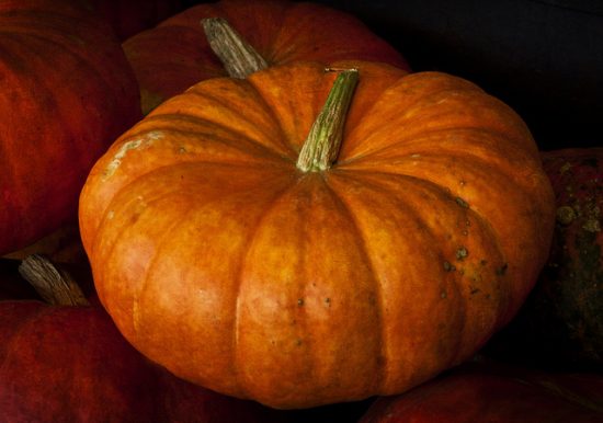 Pumpkin Recycling