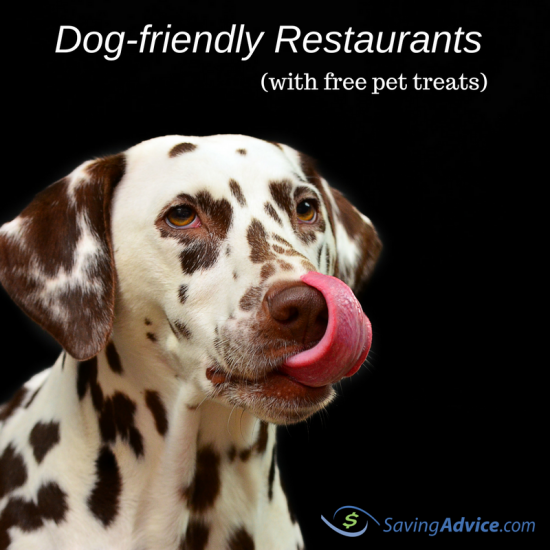 dog-friendly restaurants