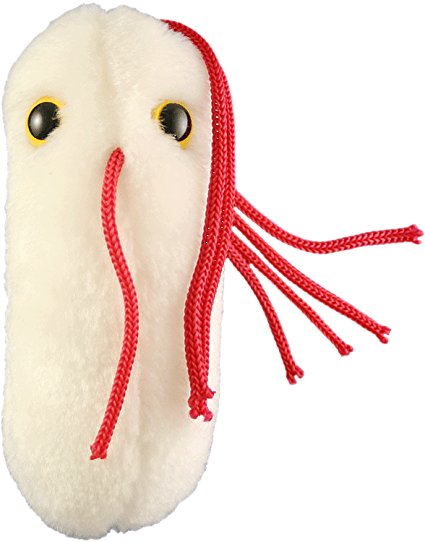 Giant Microbes Salmonella Typhimurium Plush Toy