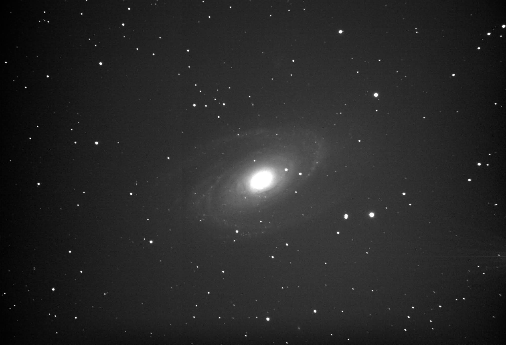 Click image for larger version

Name:	M81 2026_04_19.jpg
Views:	7
Size:	146.9 KB
ID:	756922