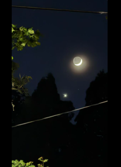 Click image for larger version

Name:	moon&amp;star1.png
Views:	36
Size:	108.6 KB
ID:	757127