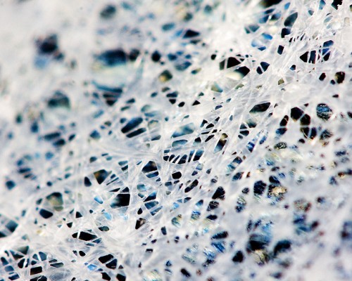 dryer sheet close-up on jeans