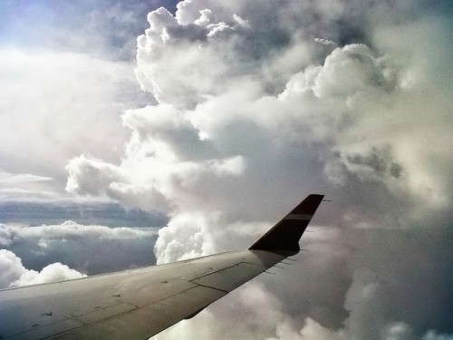 winging it
