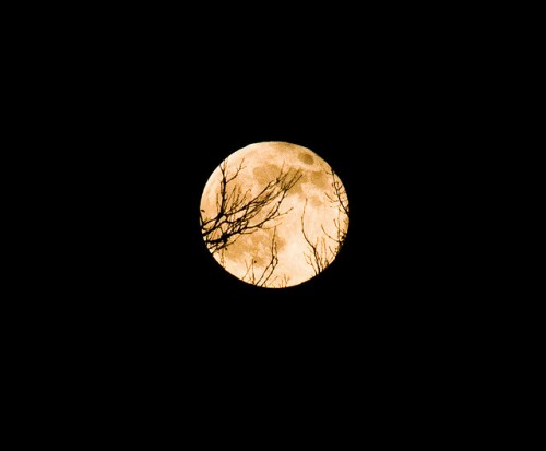 full moon