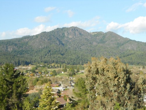 house sitting view