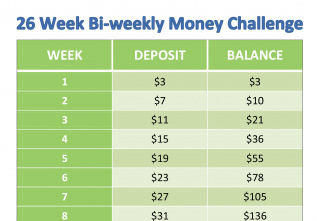 Bi Weekly Money Challenge Chart