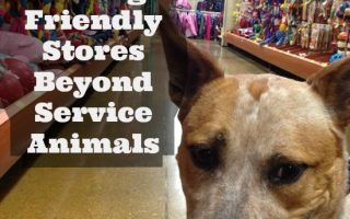 dog friendly stores