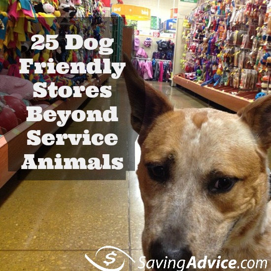 dog friendly stores