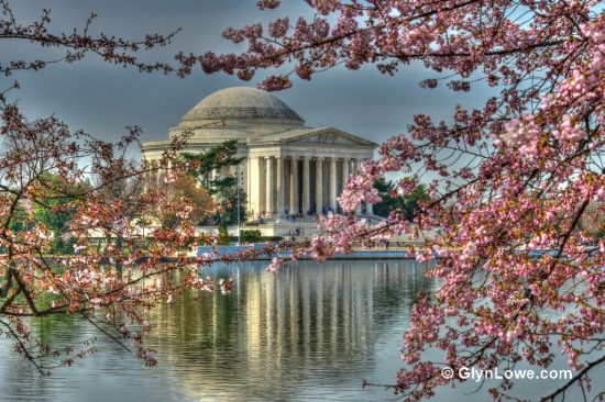 NPS Cherry Blossom Festival Dates