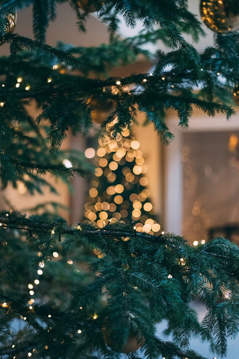  How To Get A Free Christmas Tree SavingAdvice Blog