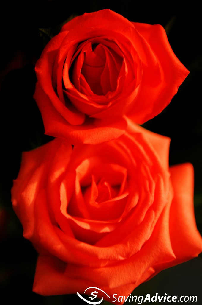 How Much Should You Spend on a First Date? Blog