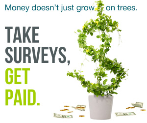 The best paying survey site, by far, is Survey Junkie.