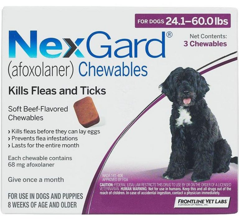 Heed This FDA Warning and Check Your Flea and Tick Medication Now