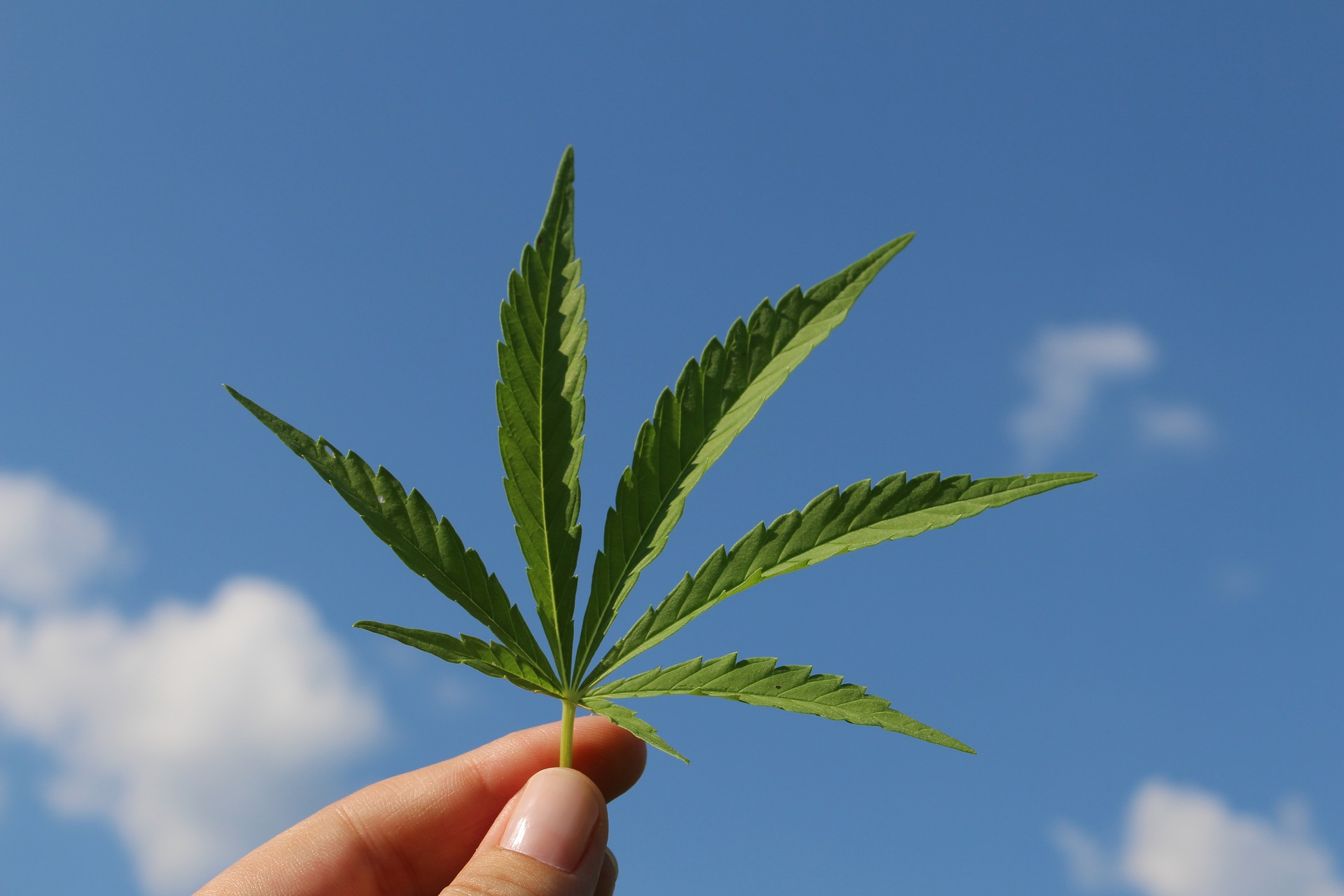 ACB Aurora Cannabis Inc