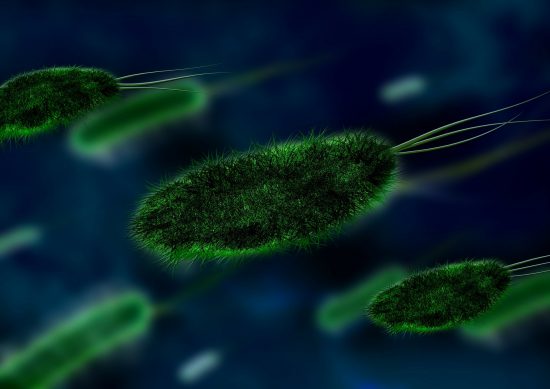 Drug-resistant superbug