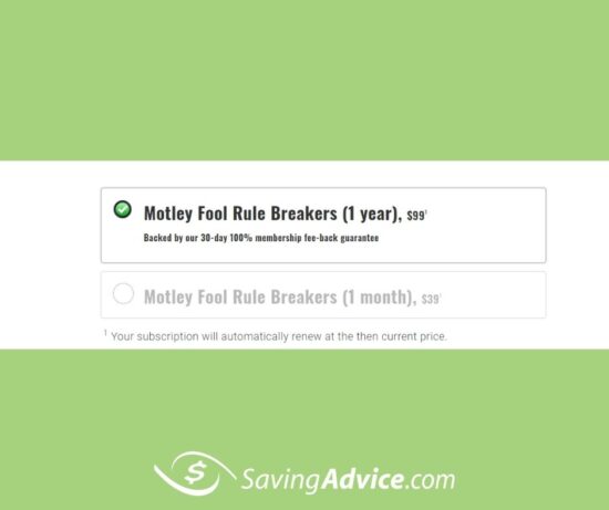 motley fool stock advisor review