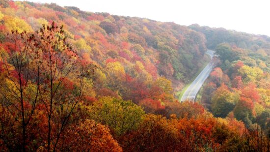 how to retire well in North Carolina