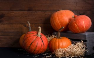 Places to Get Free Pumpkins