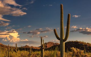 Financial Drawbacks to Living in Tucson Arizona