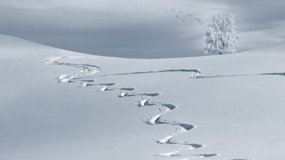 Crypto Winter