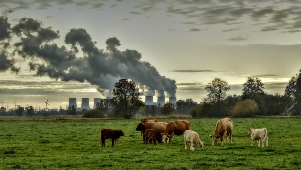 Net-Zero Goal of Financial Coalition Hindered by Defections
