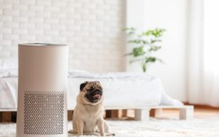 pet air purifier