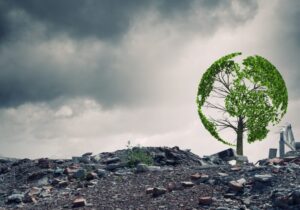 Everyday Products That Are Secretly Destroying the Environment