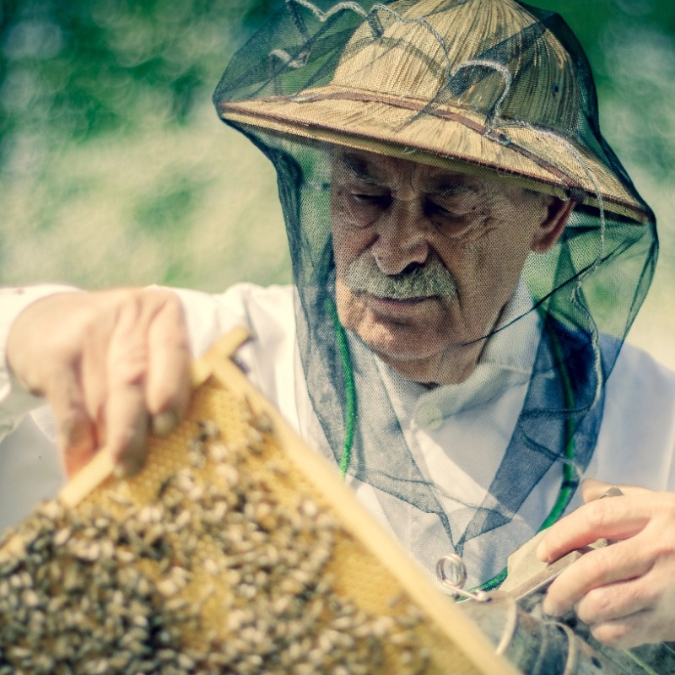 Beekeeper 