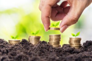 Green Bonds and Sustainable Investing