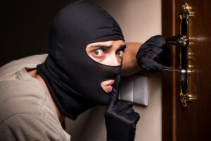 12 Fascinating Facts About the World of Burglary