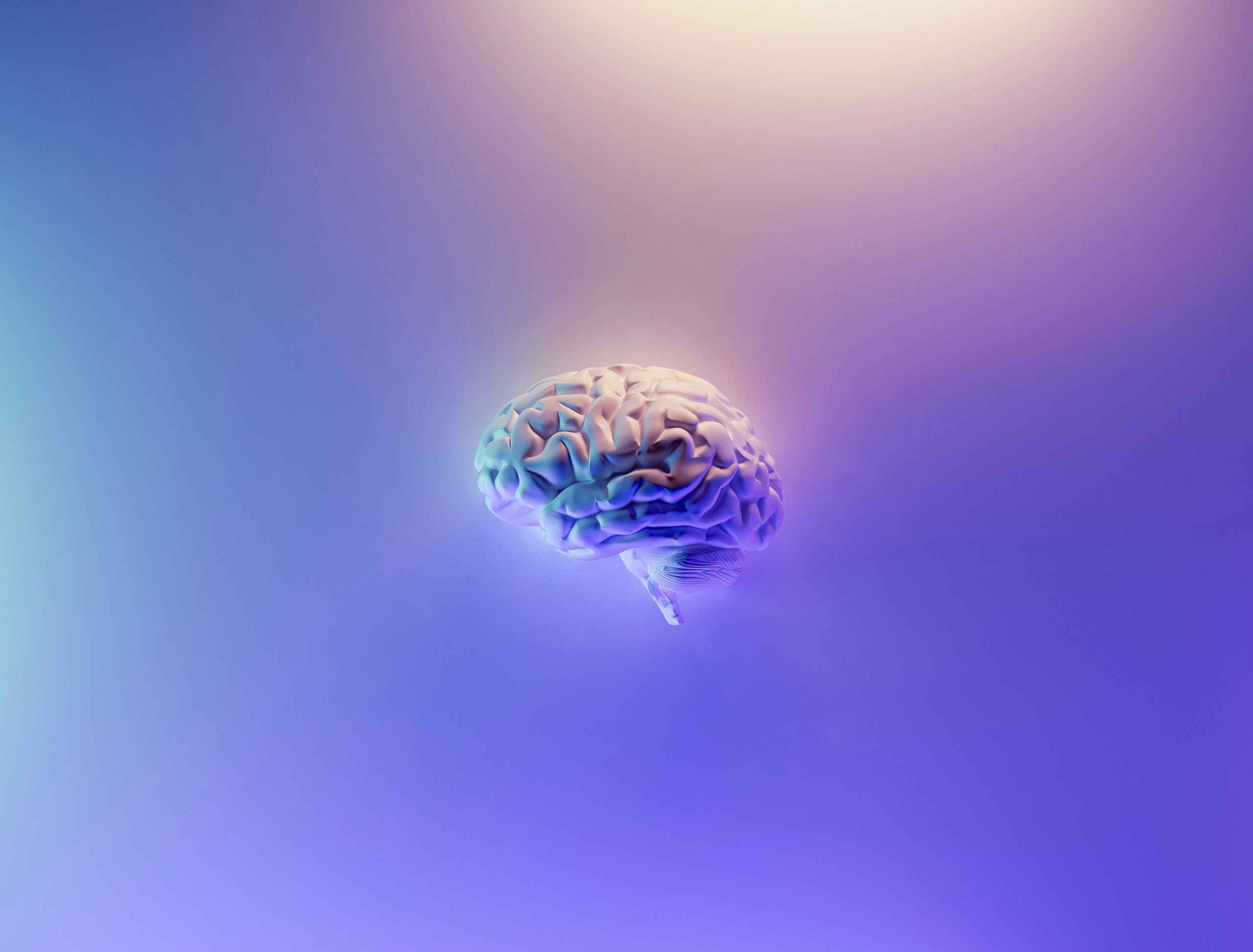 the-7-types-of-rest-your-brain-actually-needs-and-sleep-isnt-one-of-them