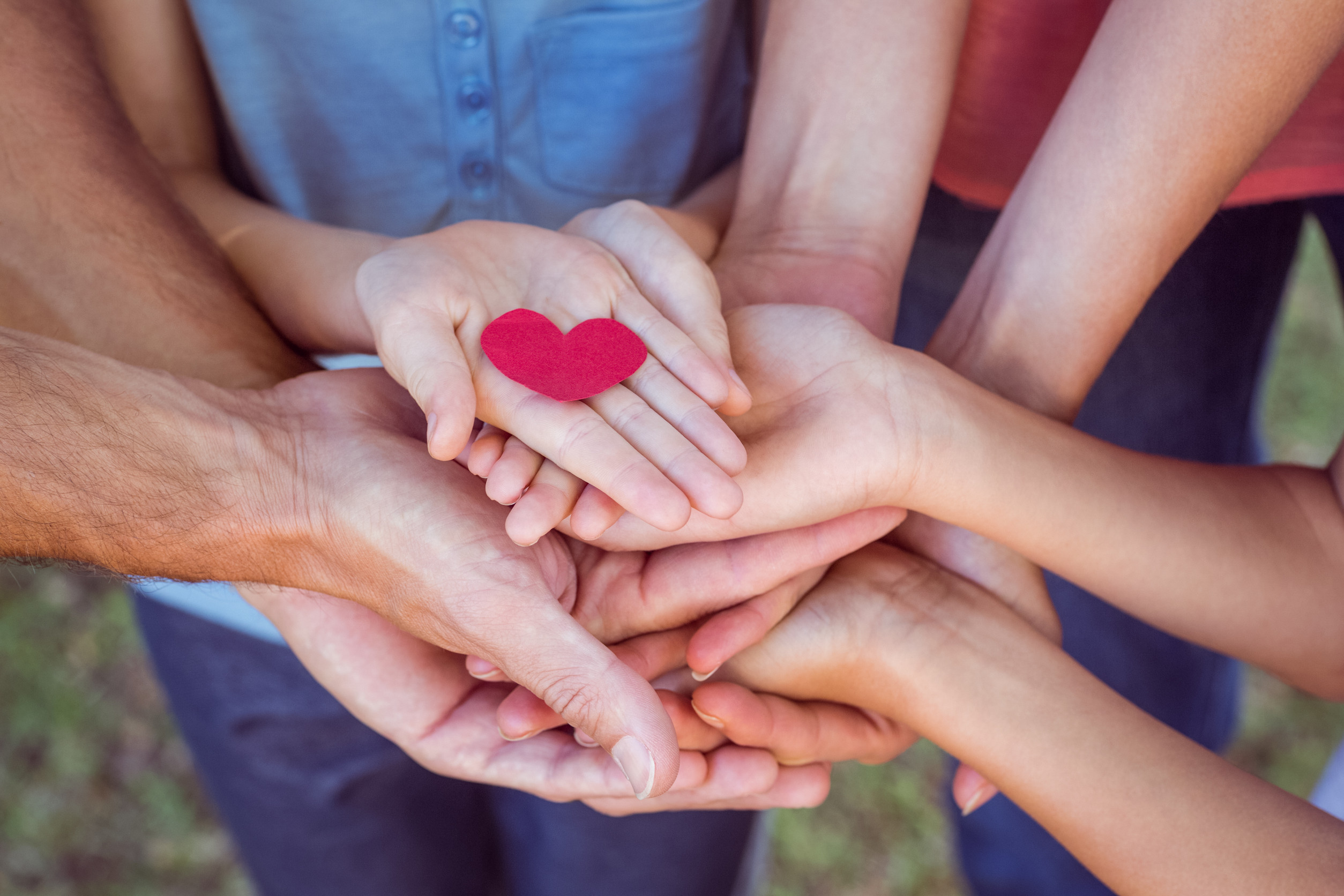 charity efficiency