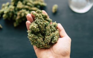 cannabis use among seniors