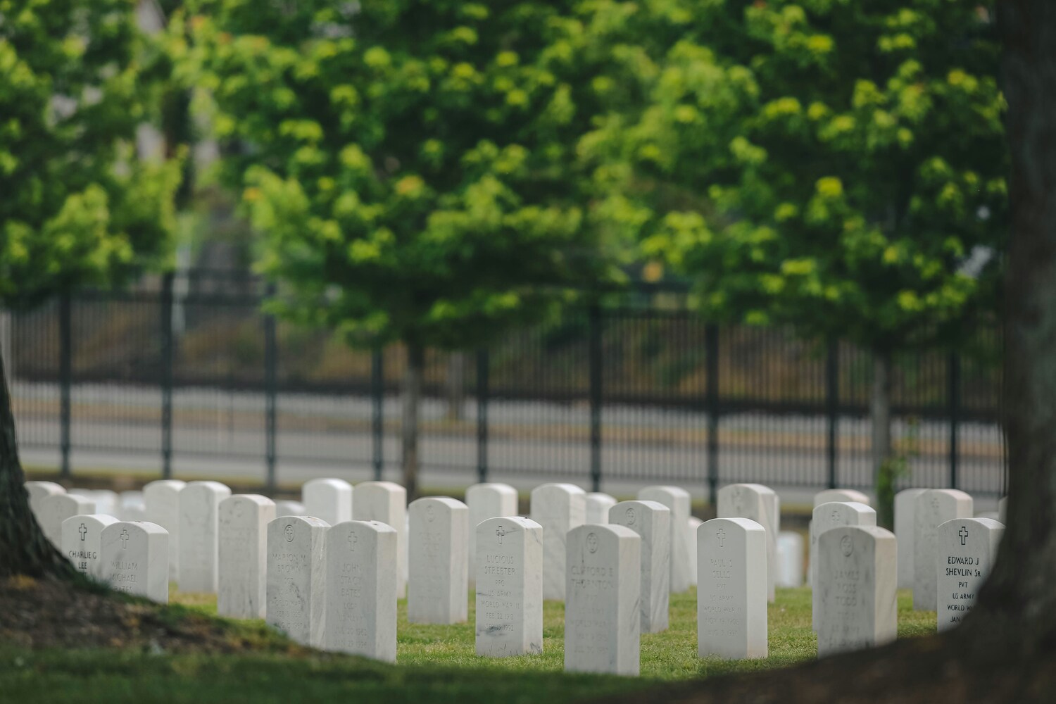cemetery, graves, headstones