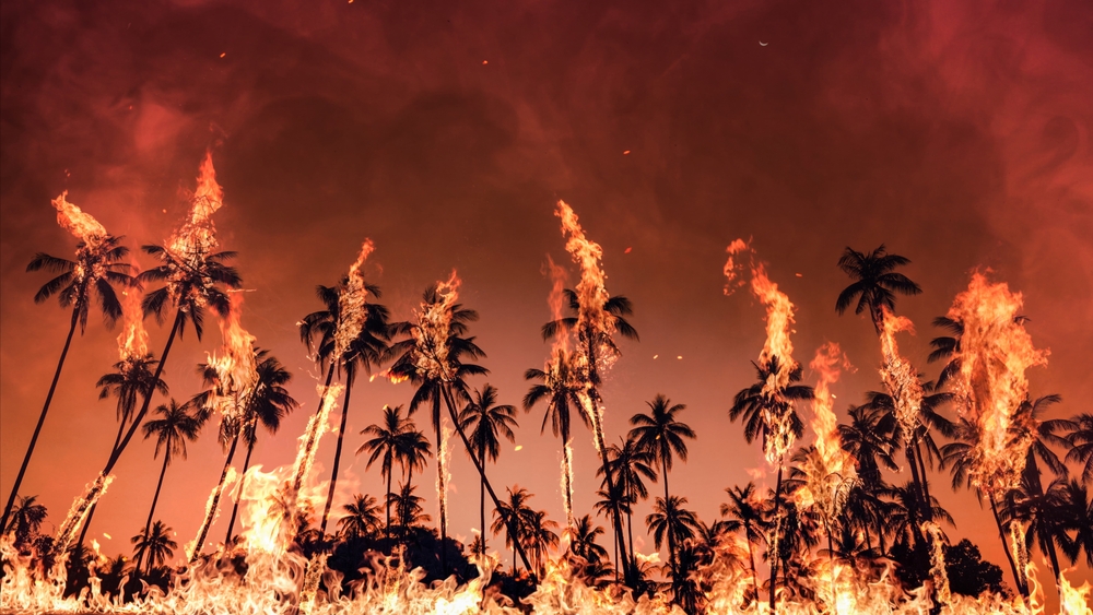 13 Cities on the Brink of Destruction: Why You Should Get Out Now